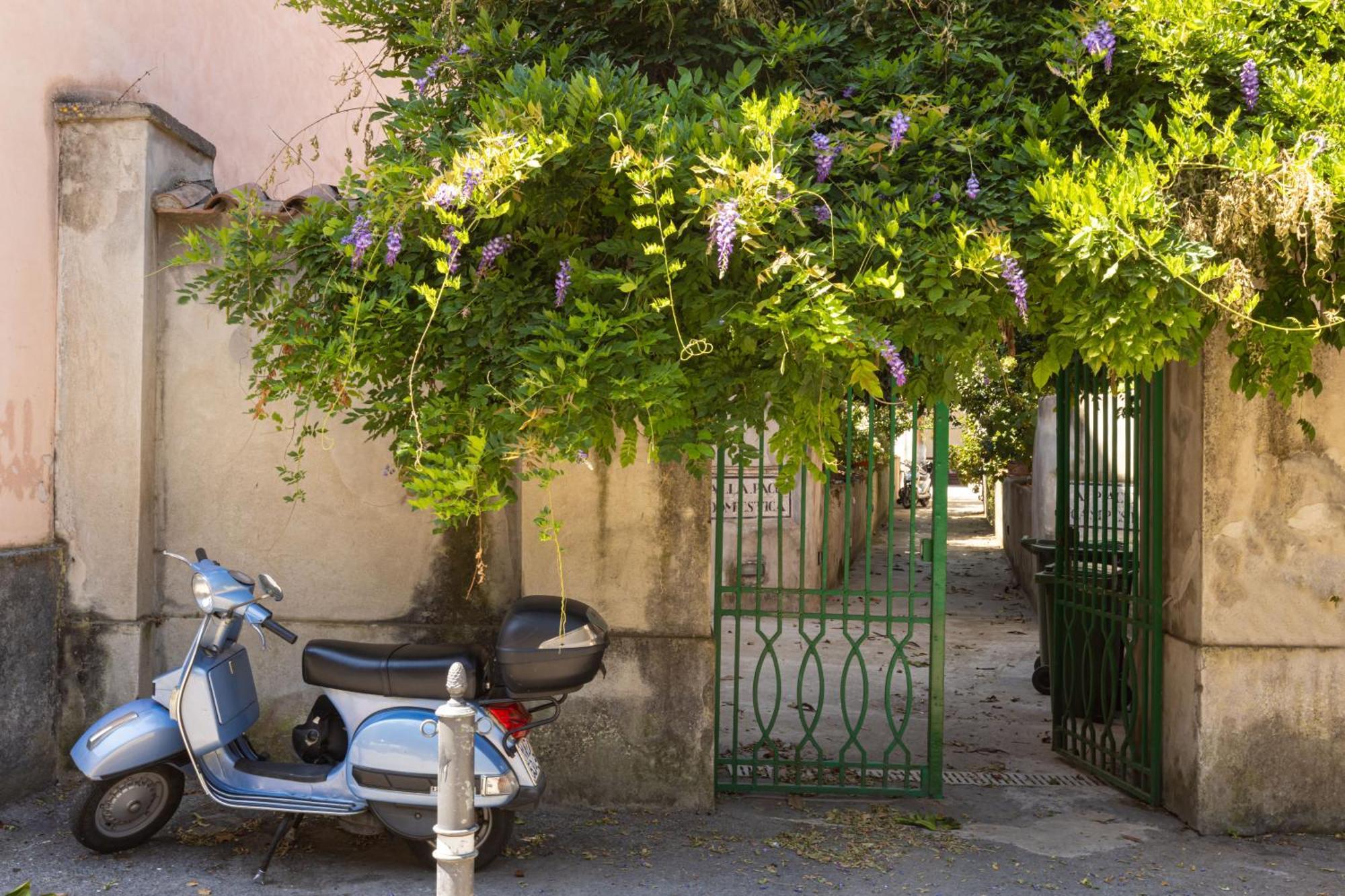 Maison Rosetta Sant'Agnello Bagian luar foto
